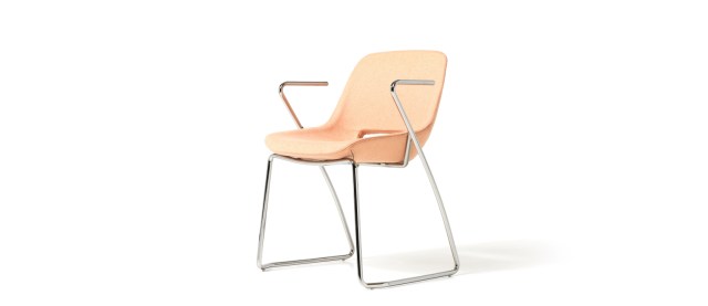 CLEA Visitor & Meeting chair